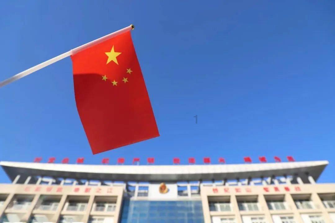 可怜猫的救援